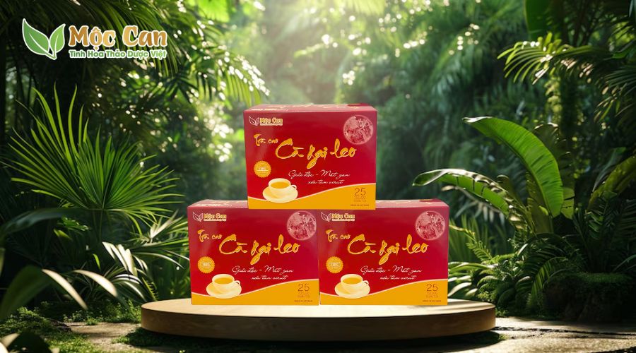 CÀ GAI LEO - MẬT NHÂN: SỰ KẾT HỢP VÀNG ĐẨY LÙI VIÊM GAN VIRUS 3